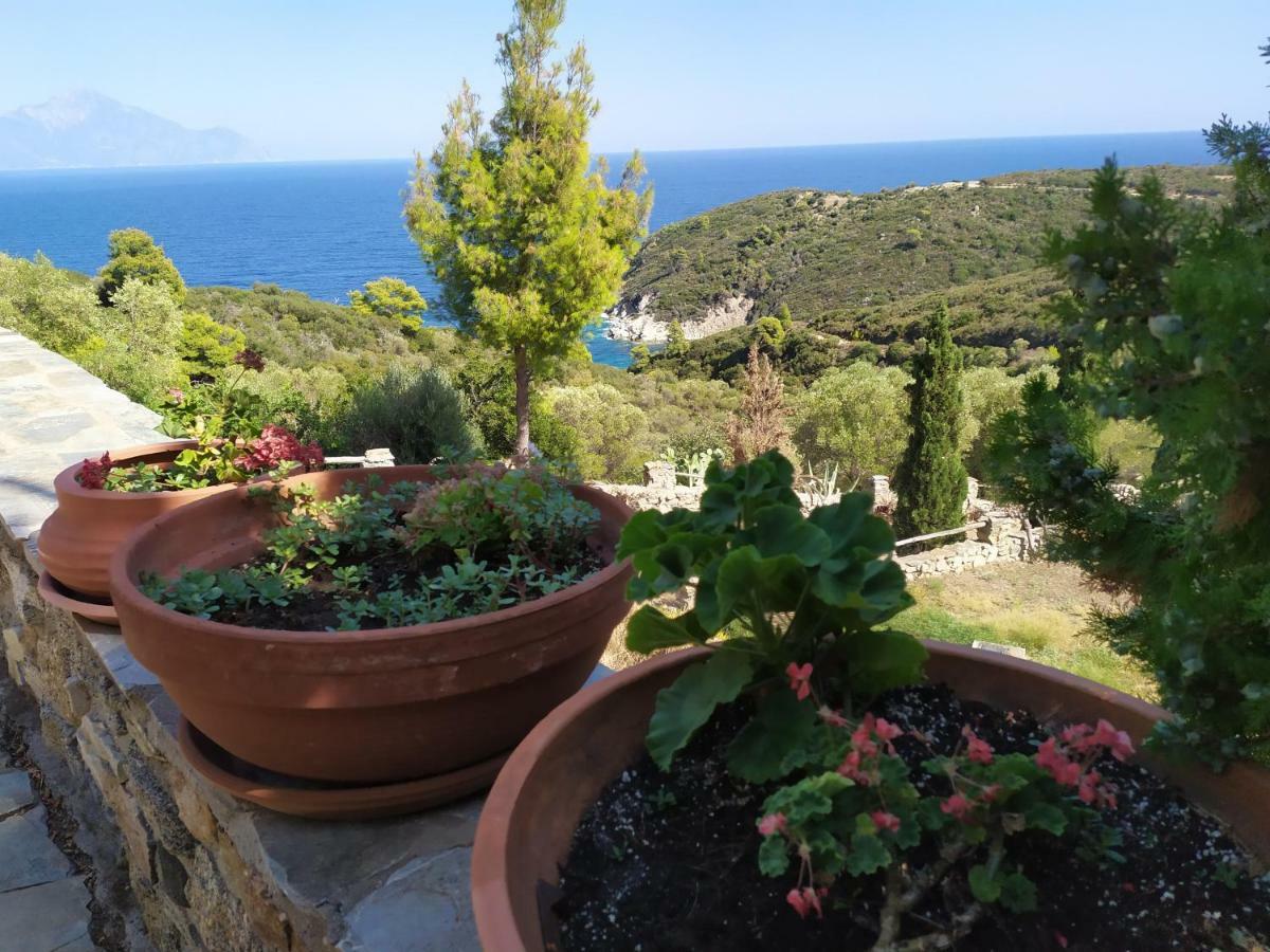 Villa Athos Sarti Extérieur photo